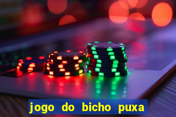 jogo do bicho puxa de dona maria